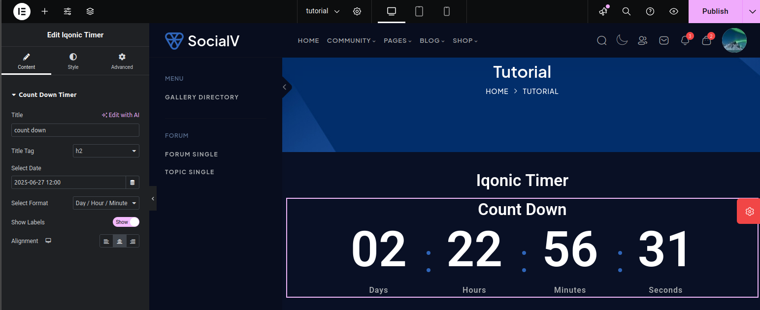 Iqonic Timer Widget